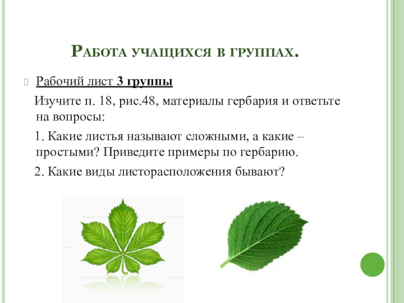 Гдз по биологии за 5‐6 класс  пасечник, суматохин