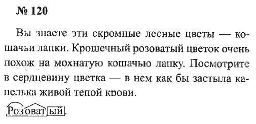 Русский язык канакина 4 класс 251 - гдз решебники | mygdz.info
