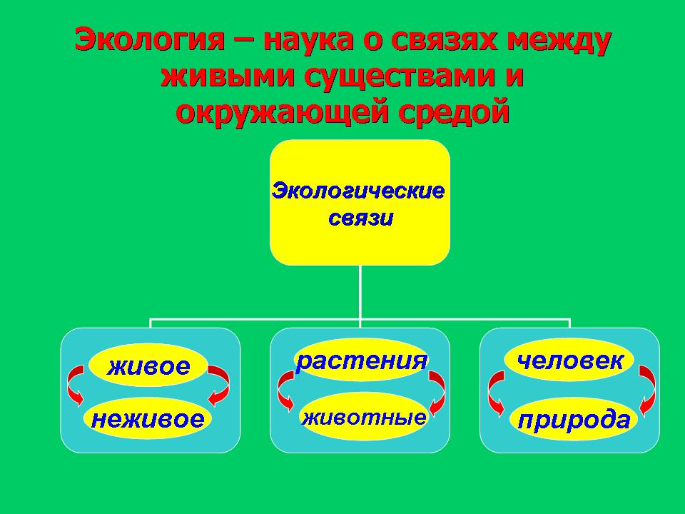 Гдз окружающий мир 4 класс 1 часть учебник плешаков