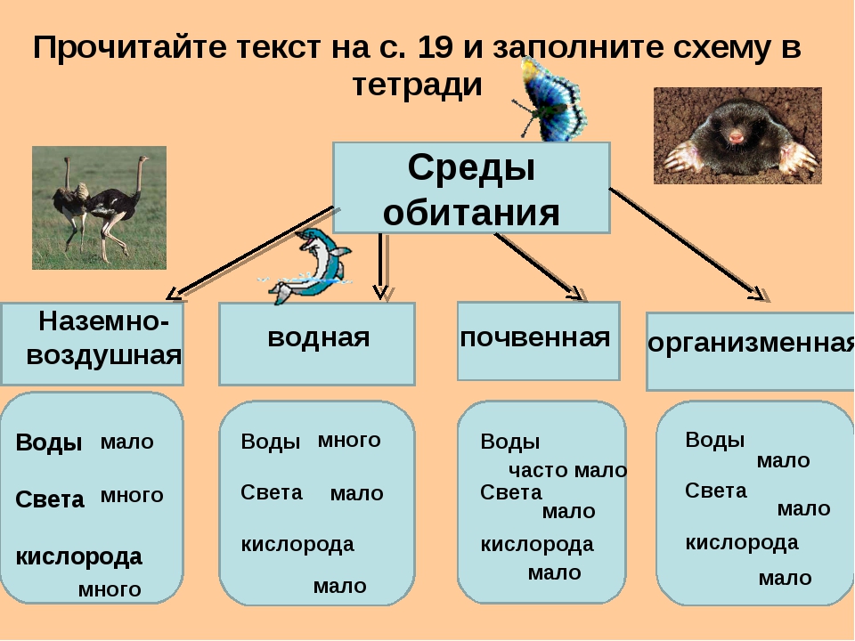 Гдз решебник по биологии 5 класс пасечник рабочая тетрадь просвещение