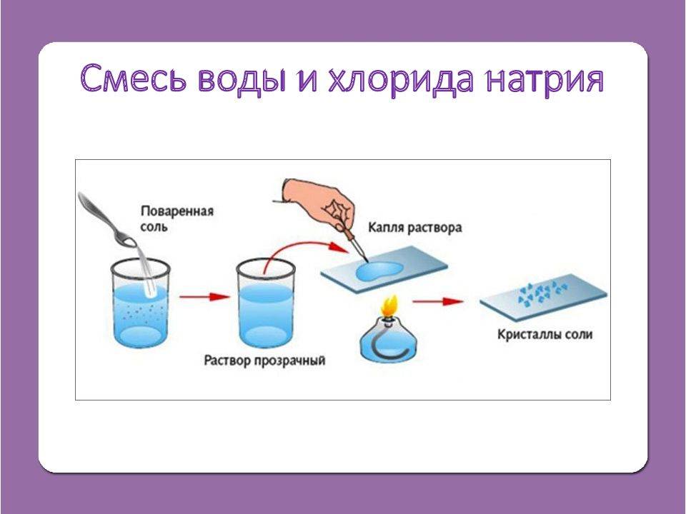 Тест по биологии как работают в лаборатории для за 5 класса бесплатно на сто тестов