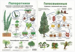 Гдз по биологии 5-6 пасечник линия жизни учебник