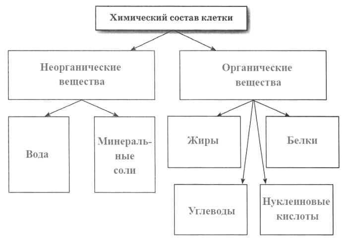 ГДЗ Биология 5 класс рабочая тетрадь Линия Жизни В В Пасечник параграф 7 Химический состав клетки Ном Заполните таблицу Роль веществ входящих в состав клетки Вещества клетки Значение  