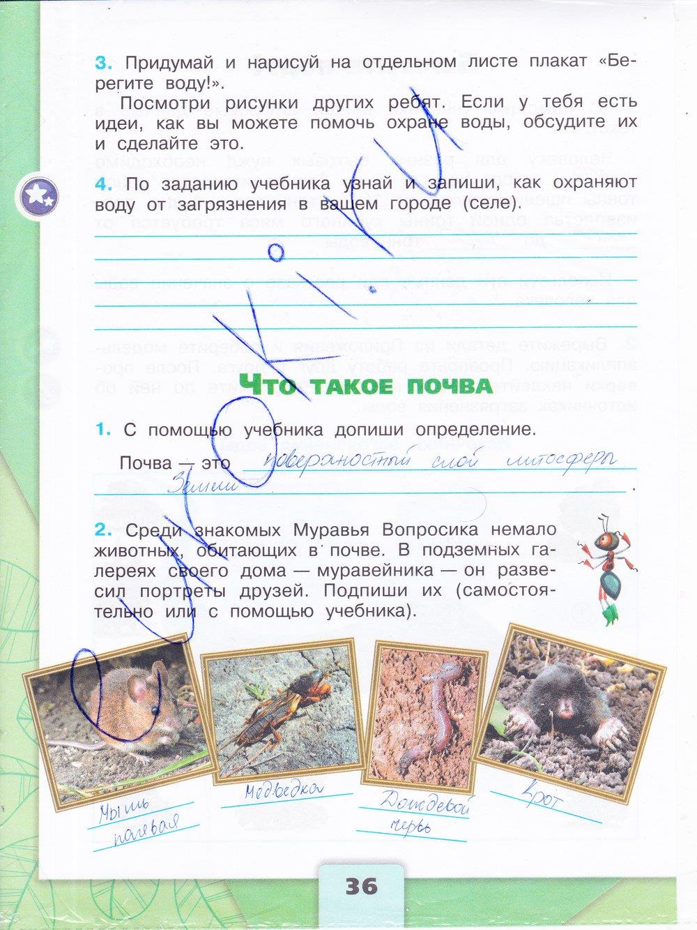 Гдз окружающий мир 4 класс 1 часть учебник плешаков ответы