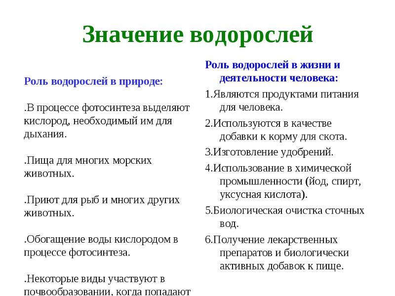 ГДЗ Тесты по биологии параграф 15 часть 1 Номер 5 Морской капустой называют а одноклеточную водоросль хлореллу б бурую водоросль ламинарию в зелёную водоросль ульву г харовую водоросль