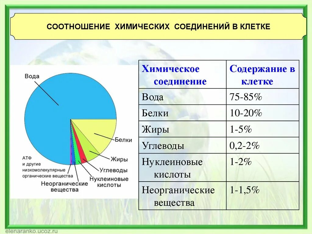 Гдз по биологии 5 класс пасечник, рабочая тетрадь просвещение 2023