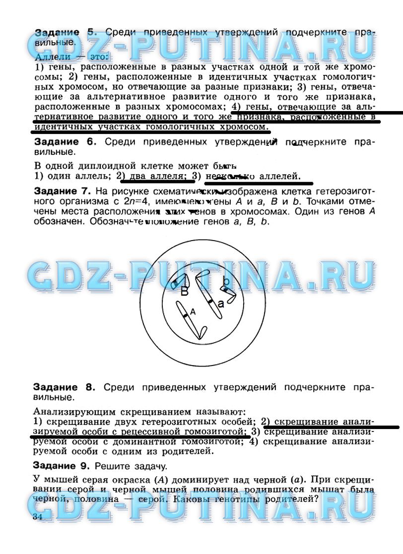 Гдз по биологии 5 класс: пасечник в. в.