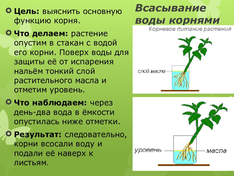 Гдз по биологии 5-6 пасечник линия жизни учебник