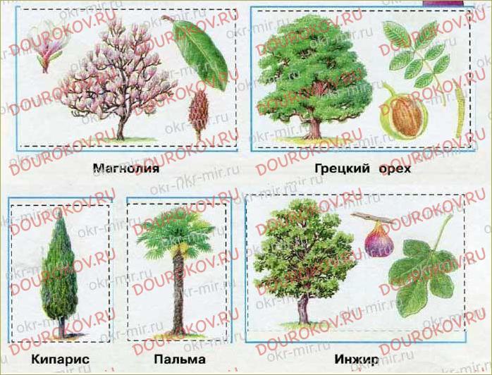 Гдз решебник по окружающему миру 4 класс плешаков, крючкова рабочая тетрадь просвещение