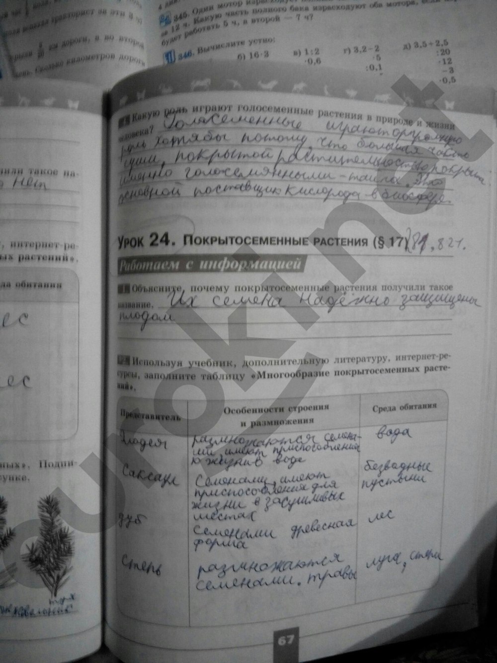 ГДЗ Тесты по биологии параграф 10 часть 1 Номер 1 Главное отличие бактериальной клетки от клеток организмов относящихся к другим царствам живой природы а наличие одного или нескольких жгутиков б отсутствие оформленного ядра в наличие клеточной