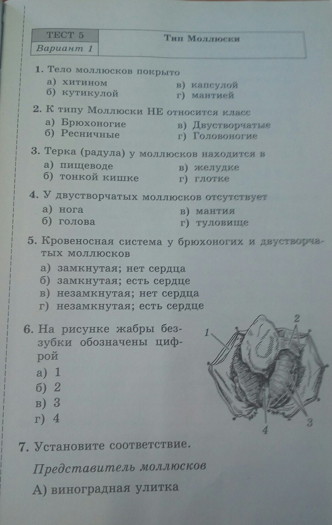 Введение в биологию, 5 класс