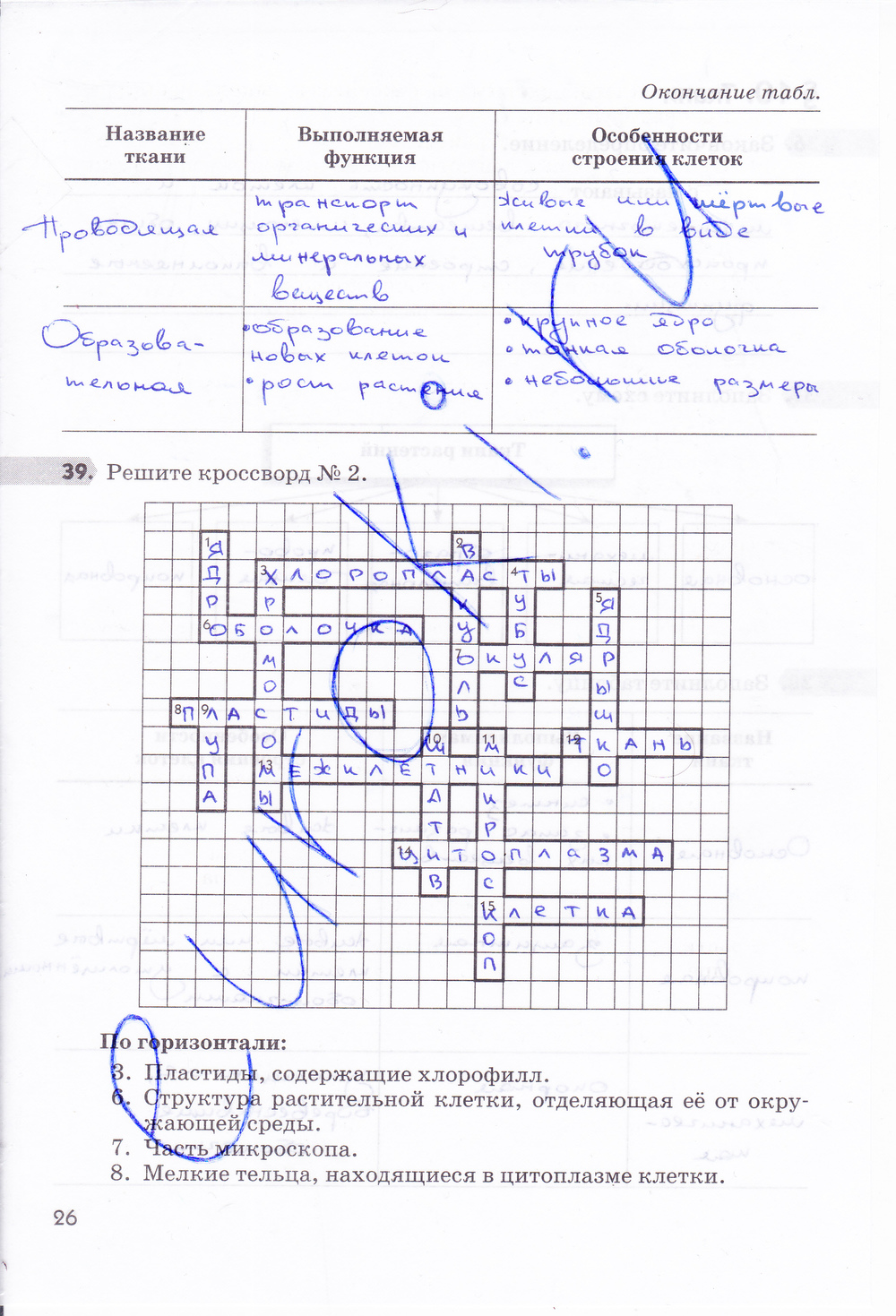Строение и жизнедеятельность бактерий, 5 класс
