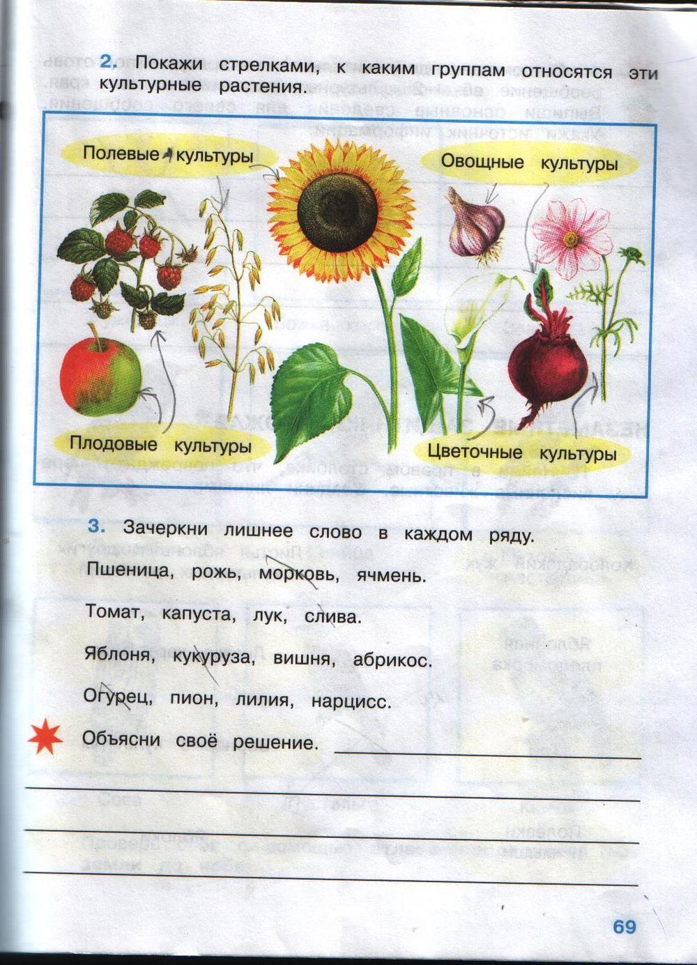 Гдз по окружающему миру 4 класс плешаков крючкова