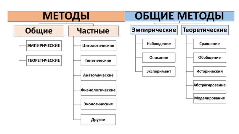 Тест по биологии методы изучения биологии для 5 класса с ответами