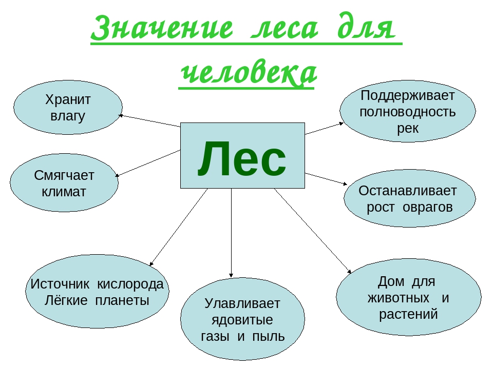 Страницы 47, 48, 49, 50 - ответы окружающий мир 4 класс плешаков рабочая тетрадь 1 часть