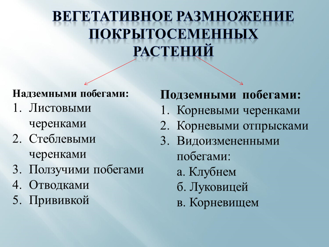 Биология 5-6 пасечник учебник §46-49