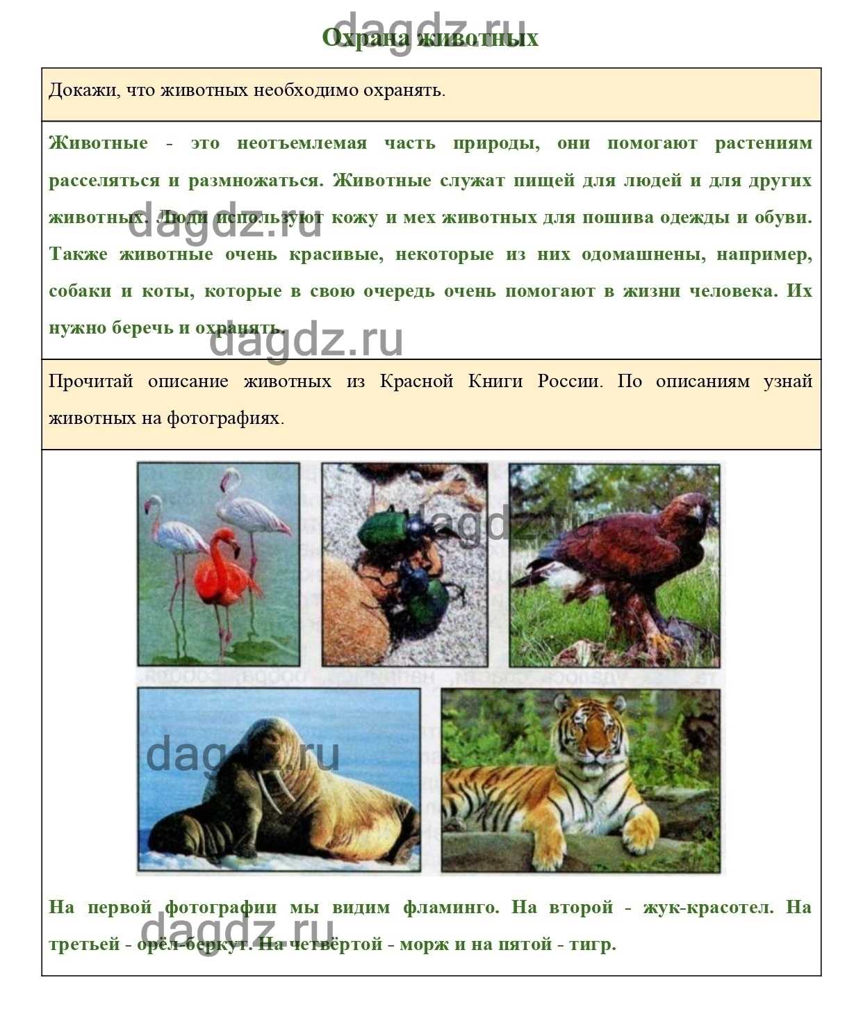 Сообщение на тему солнце 4 класс окружающий мир план