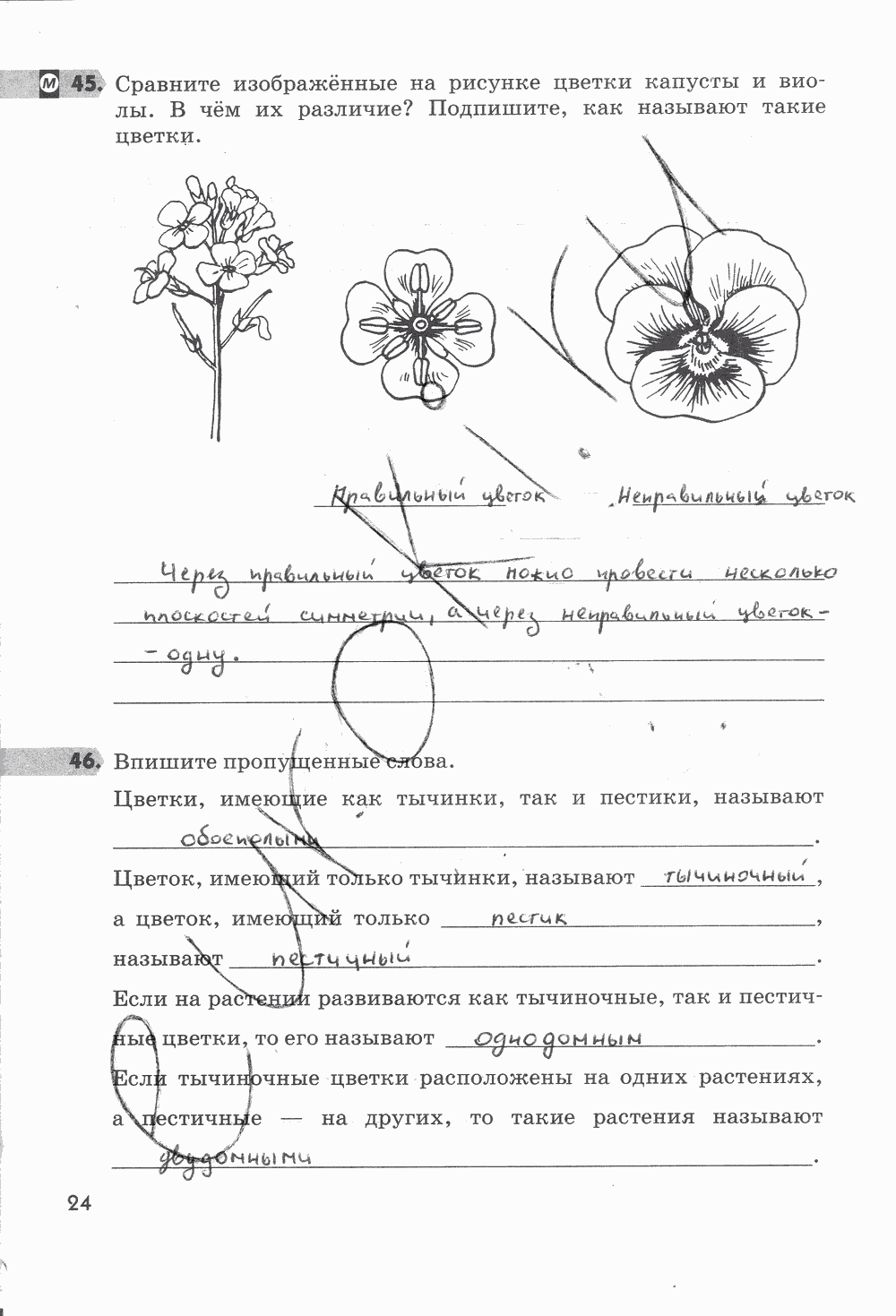Гдз ответы по биологии учебник 5-6 класс пасечник