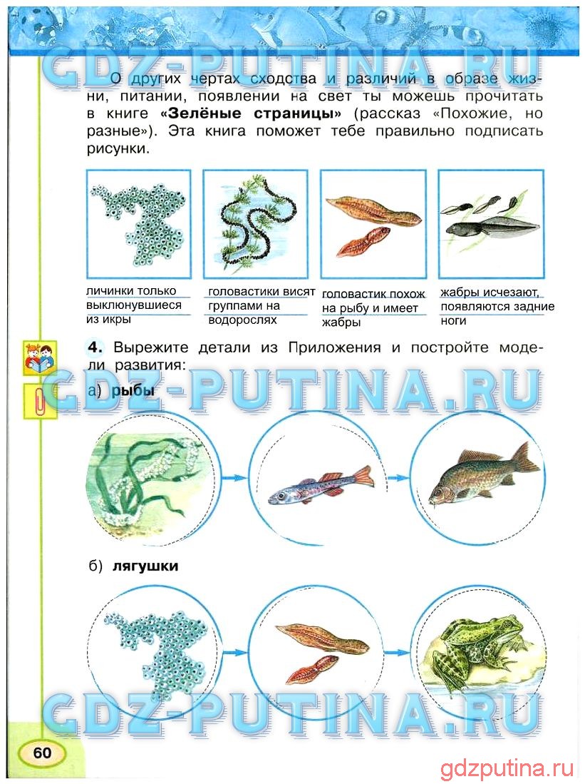 Гдз рф - готовые ответы по окружающему миру для 4 класса  а.а. плешаков, е.а. крючкова школа россии  просвещение