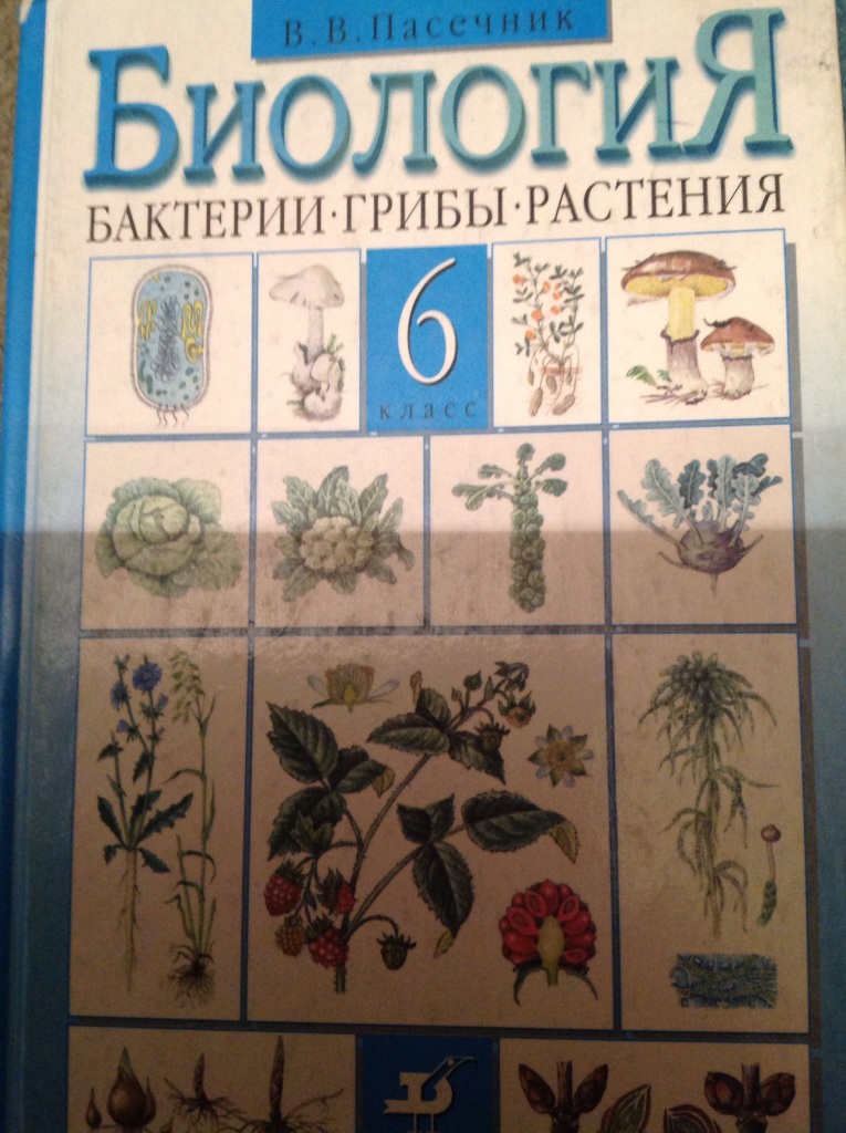 Гдз: биология 5-6 класс пасечник, суматохин, калинова, гапонюк - учебник