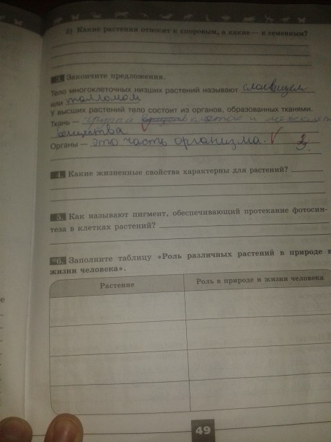 Вопросы к параграфу 24 - гдз по биологии 5 класс учебник пасечник (решебник) - gdzwow