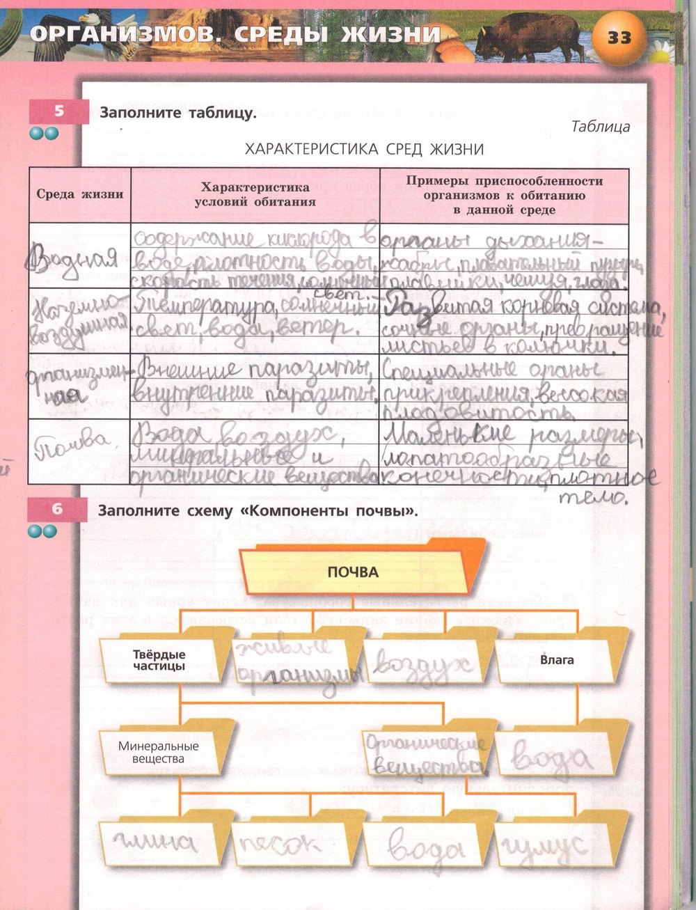 Гдз биология 5-6 класс пасечник, суматохин, калинова, гапонюк - учебник