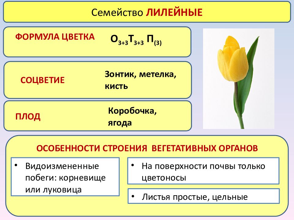 Гдз: биология 5-6 класс пасечник, суматохин, калинова, гапонюк - учебник