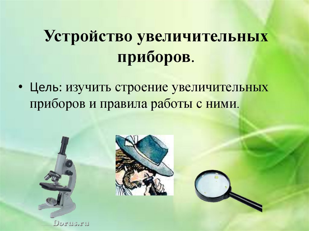 Вопросы к параграфу 6 - гдз по биологии 5 класс учебник пасечник (решебник) - gdzwow