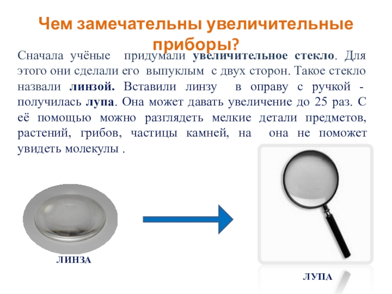 Биология пасечник учебник §2