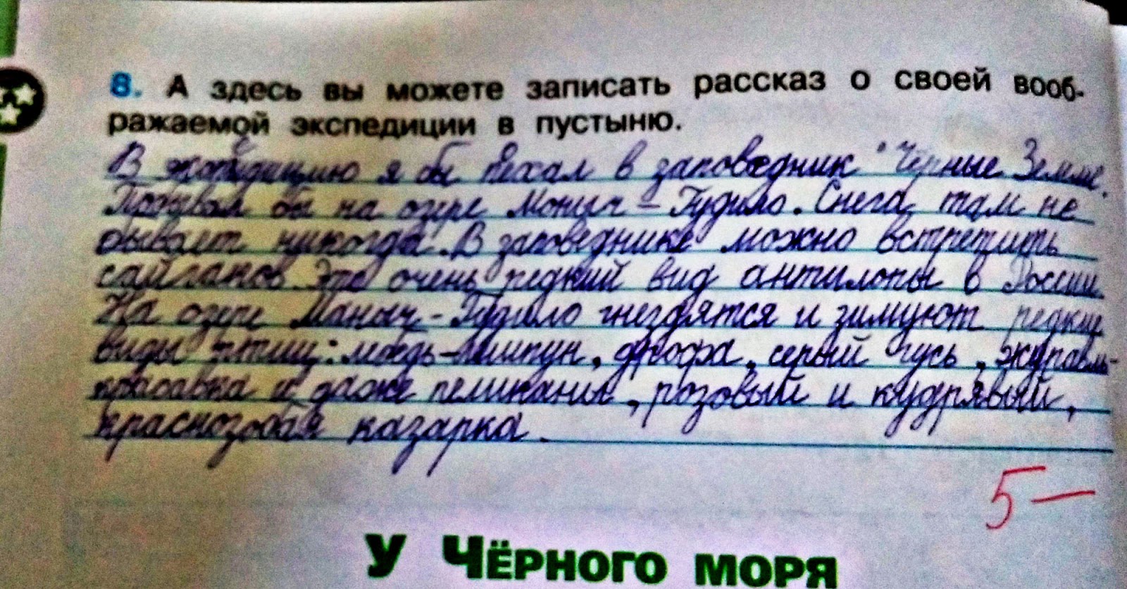 Средние века: время рыцарей и замков