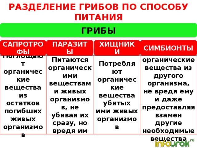 Гдз решебник по биологии 5-6 класс пасечник, суматохин, калинова, гапонюк учебник просвещение