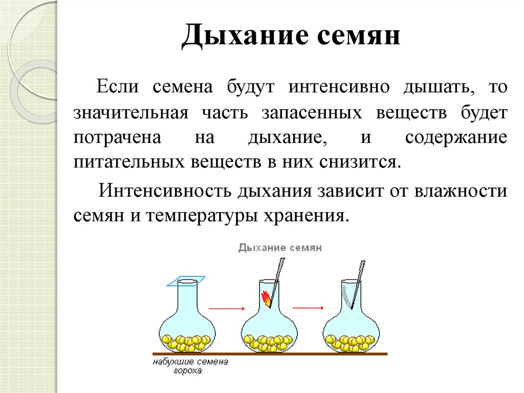 Гдз по биологии 5‐6 класс  пасечник