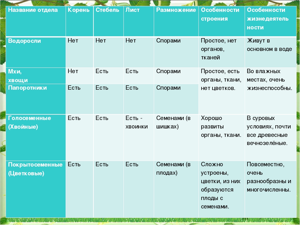 Вопросы к параграфу 20 - гдз по биологии 5 класс учебник пасечник (решебник) - gdzwow
