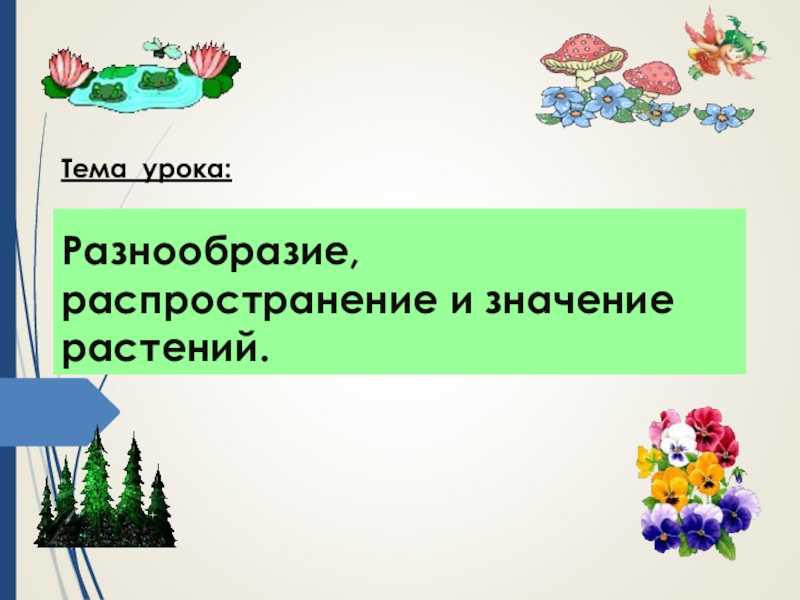 Гдз решебник биология 5 класс рабочая тетрадь линия жизни «просвещение» пасечник, суматохин, калинова.