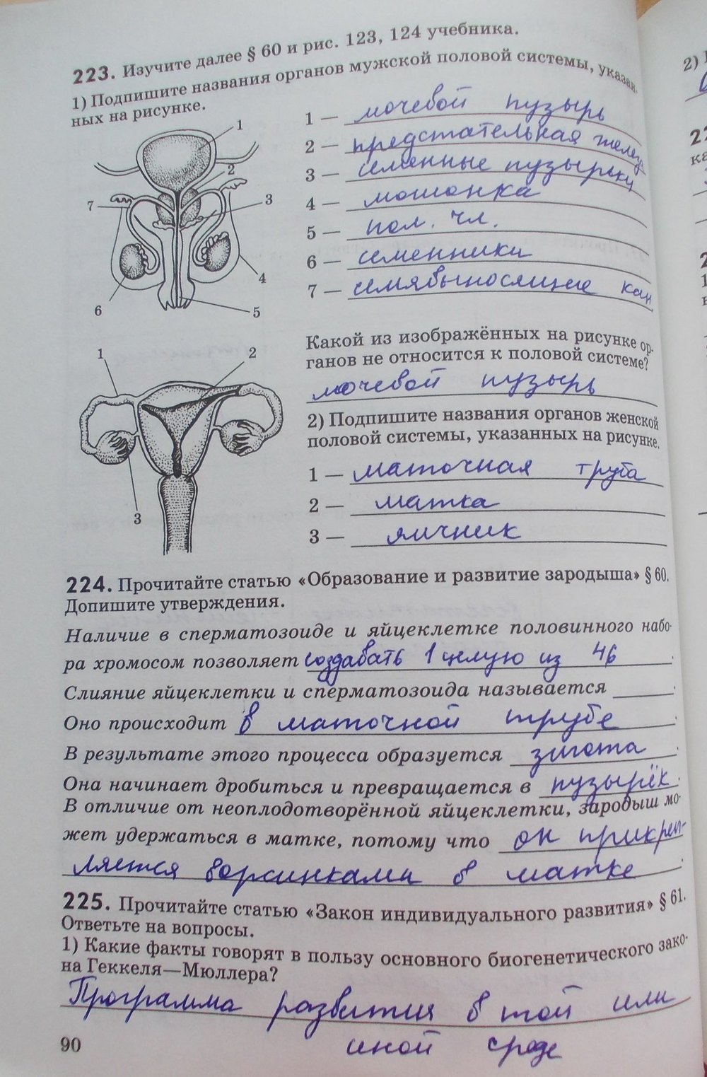 Решебник задач и гдз по биологии