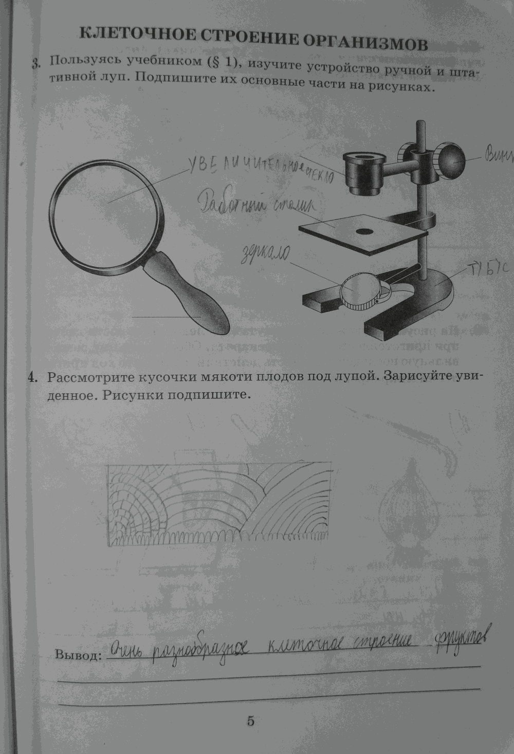 Гдз по биологии 5 класс: пасечник в. в.