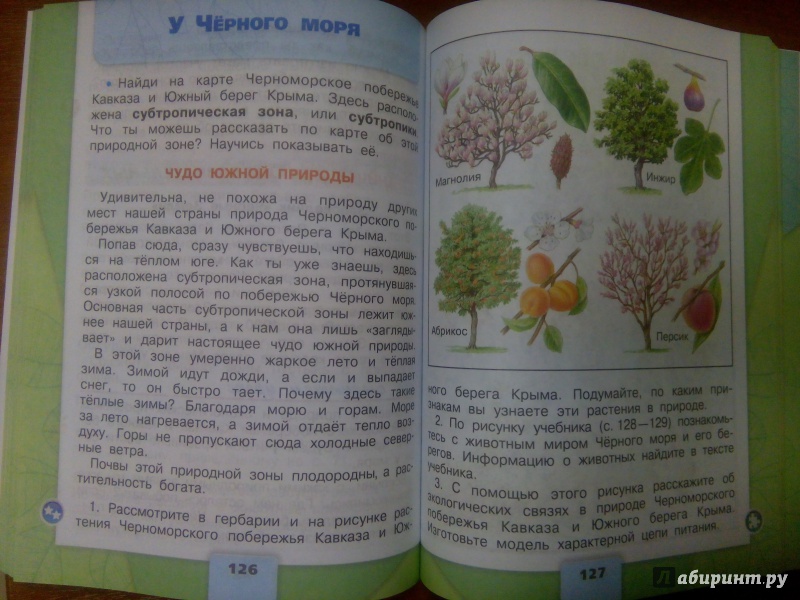 ГДЗ рабочая тетрадь по окружающему миру 4 класс часть 1 Плешаков Крючкова У Черного моря Номер 3 С помощью учебника заполни таблицу Животные Чёрного моря и его берегов Обитатели суши Обитатели суши добывающие пищу в море Обитатели моря