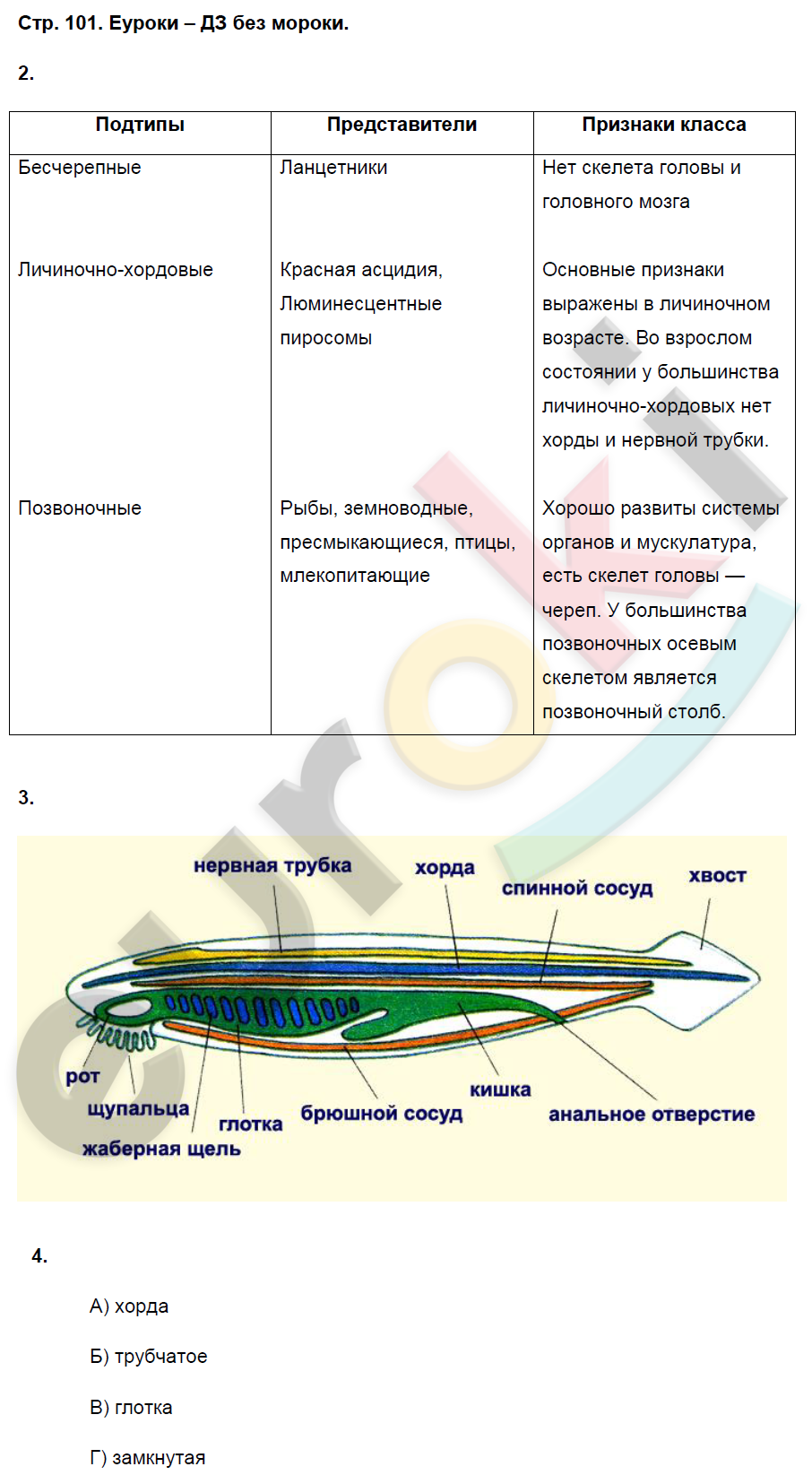 § 34. фотосинтез