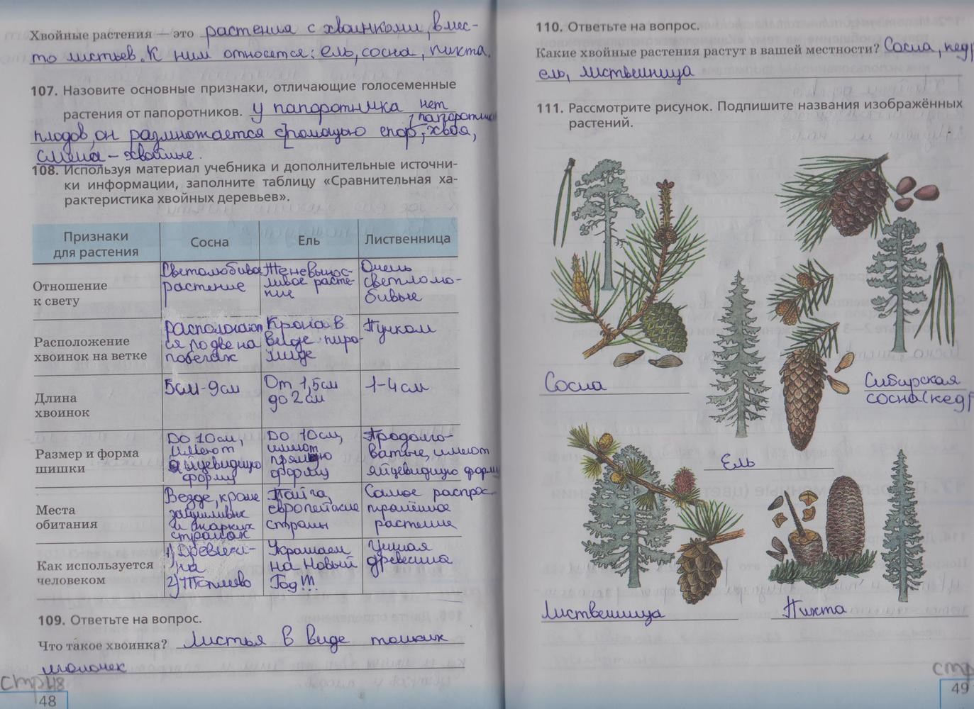 Гдз по биологии 5 класс рабочая тетрадь пасечник  линейный курс