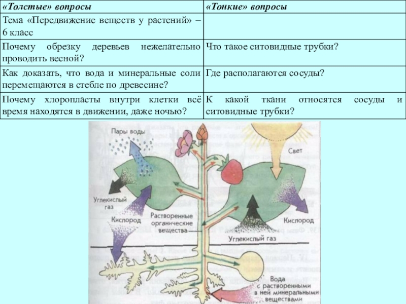 Гдз: биология 5-6 класс пасечник, суматохин, калинова, гапонюк - учебник