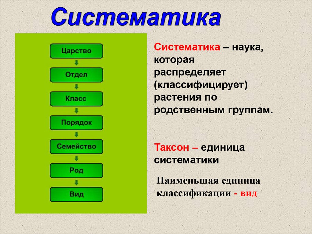 Гдз биология 5-6 класс пасечник, суматохин, калинова, гапонюк - учебник
