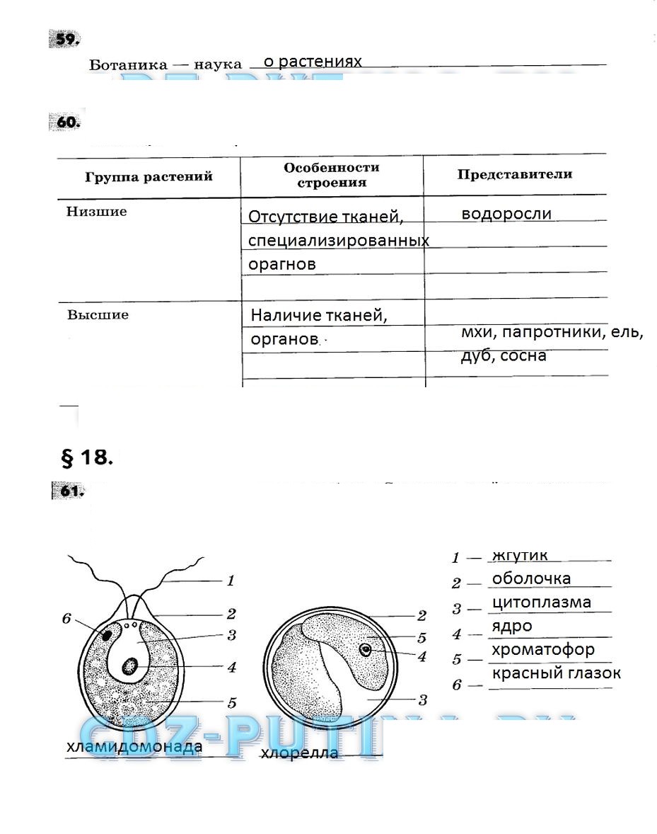 Гдз по биологии 5 класс пасечник в. в.