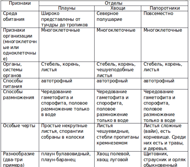 Тесты по биологии (6 класс) работа с ответами онлайн для годовой итоговой контрольной