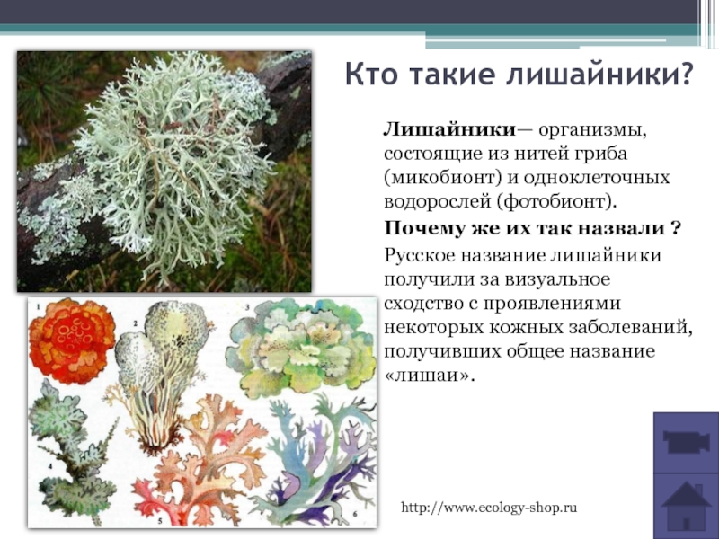 Гдз решебник биология 5 класс рабочая тетрадь линия жизни «просвещение» пасечник, суматохин, калинова.