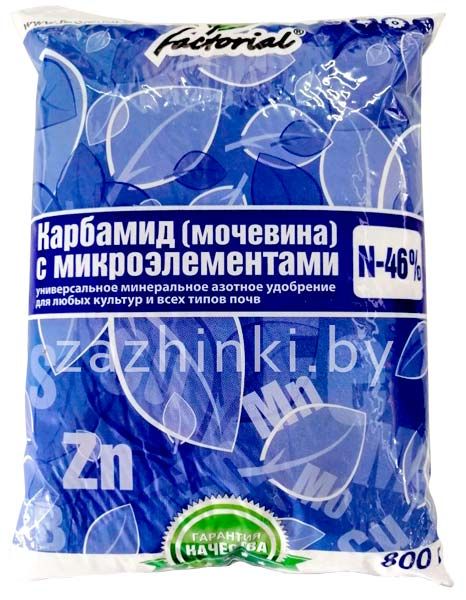 Гдз ответы по биологии учебник 5-6 класс пасечник