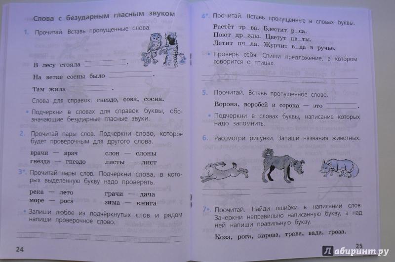Впр 2024 русский язык 4 класс тренировочные варианты заданий с ответами