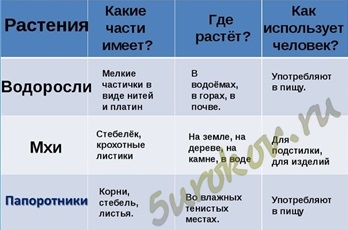 ГДЗ рабочая тетрадь по биологии 5 класс Пасечник параграф 20 Мхи Номер 70 Сравните водоросли и мхи Какие усложнения произошли в строении мхов по сравнению с водорослями