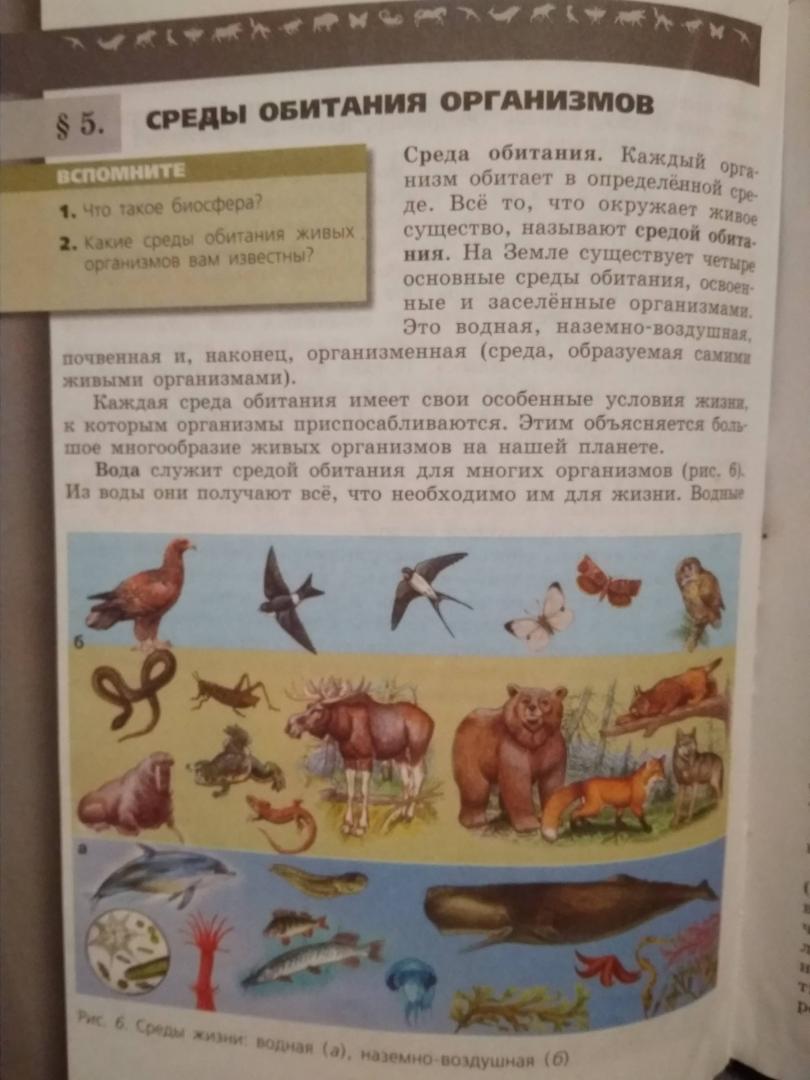 Гдз по биологии за 5‐6 класс  пасечник, суматохин