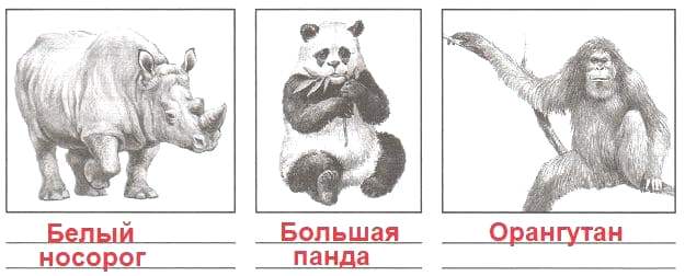 Гдз: окружающий мир 4 класс плешаков - проверочные работы