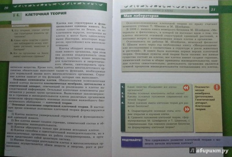 Гдз биология 5-6 класс пасечник, суматохин, калинова, гапонюк - учебник